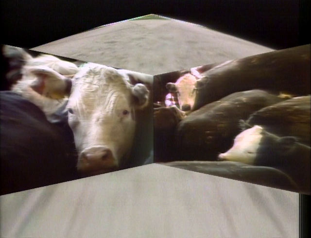 Perfect Lives (1984)-poster