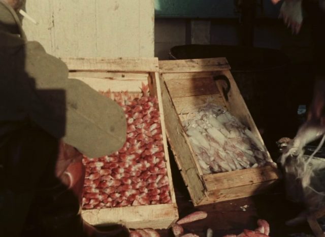 Vittorio De Seta - Pescherecci AKA Fishing Boats (1958)-poster