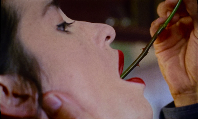 Piaffe (2022)-poster