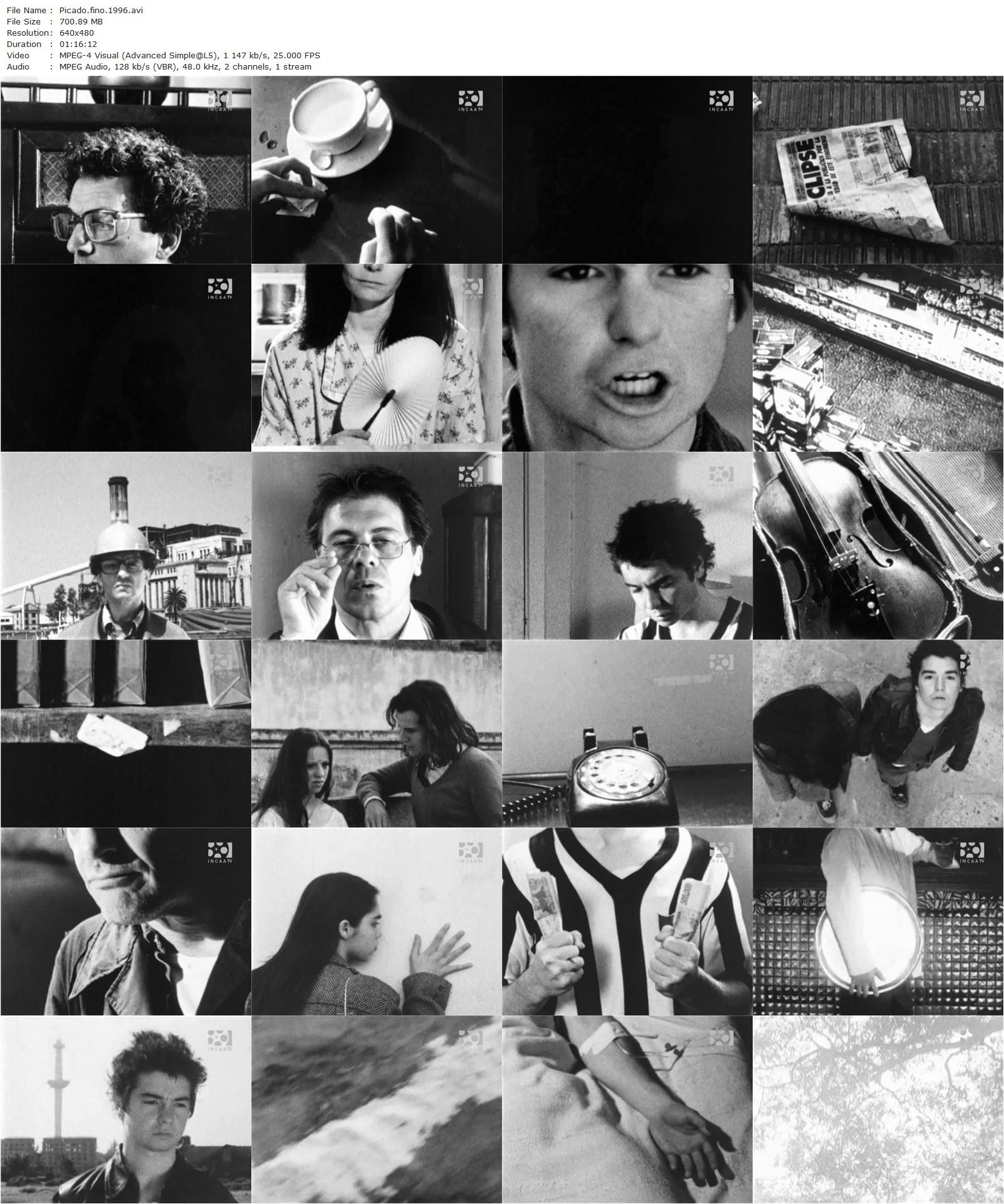 Fine Powder (1996) Esteban Sapir-poster