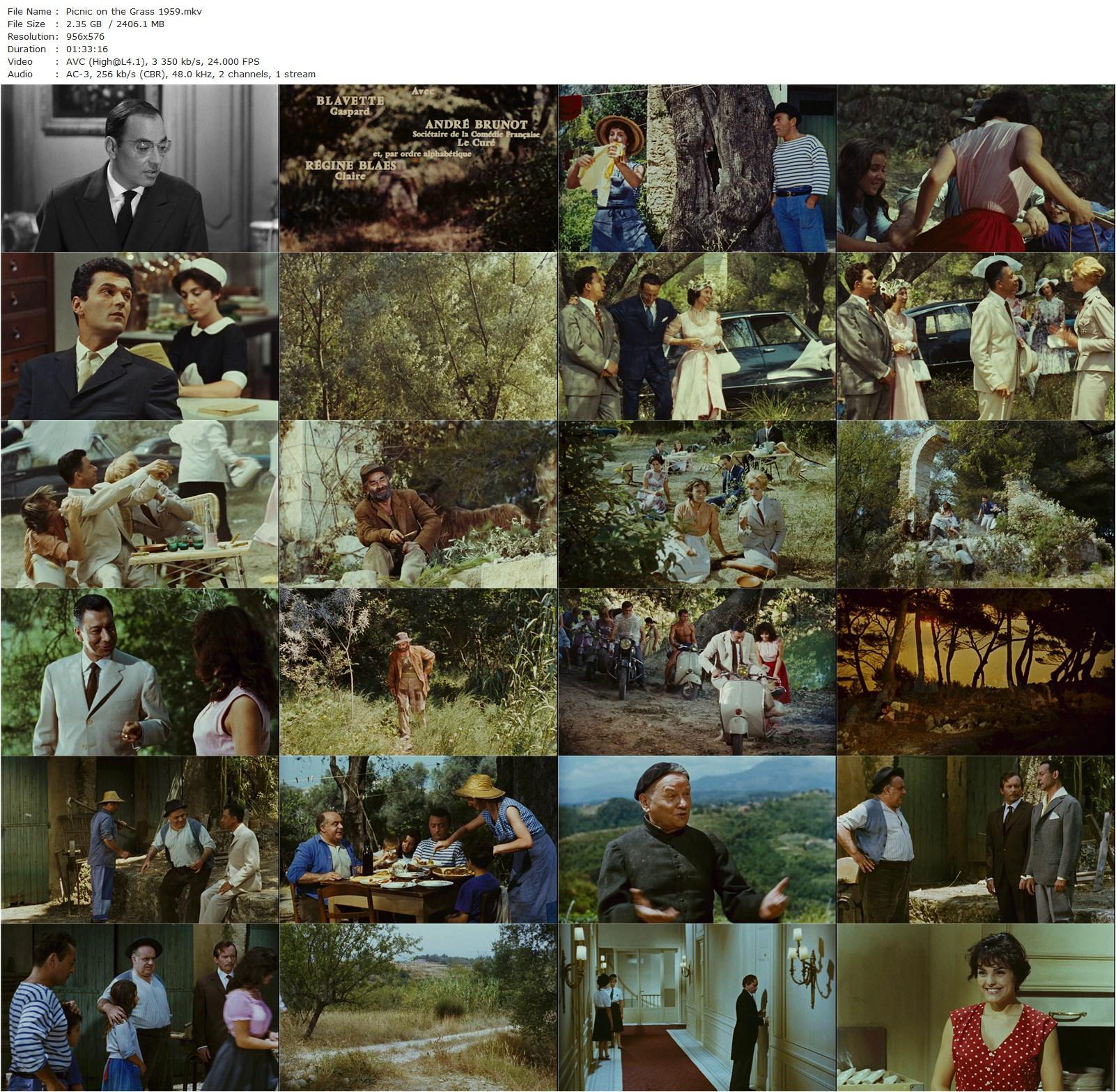 Picnic on the Grass AKA Le Dejeuner sur l’herbe (1959) Jean Renoir, Paul Meurisse, Charles Blavette, André Brunot-poster