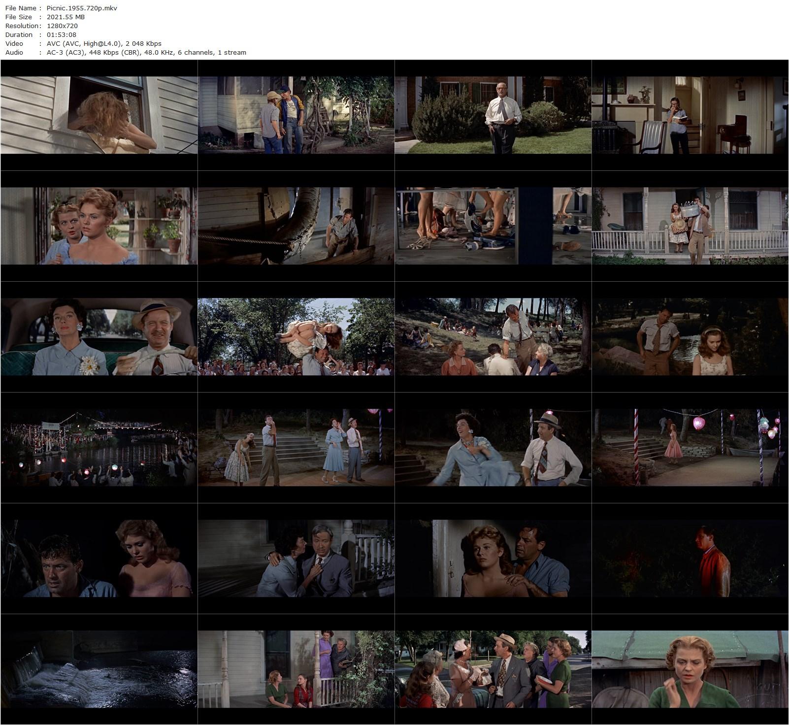 Picnic (1955) Joshua Logan, William Holden, Kim Novak, Betty Field-poster