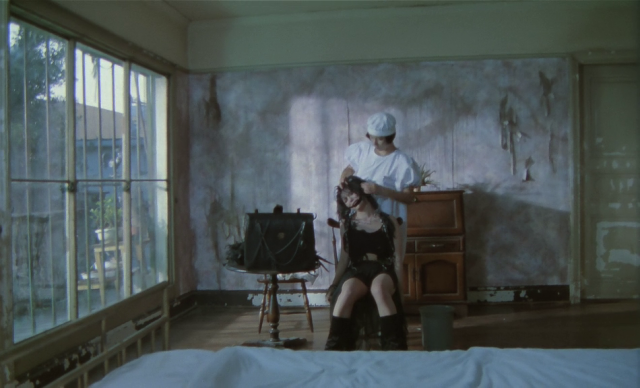 Shunji Iwai - Pikunikku AKA Picnic (1996)-poster