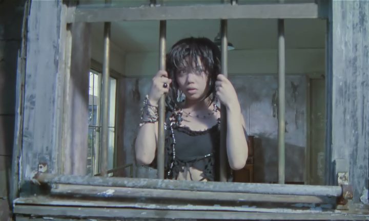 Pikunikku / Picnic (1996) Shunji Iwai, Chara, Tadanobu Asano, Koichi Hashizume, Drama, Fantasy-poster