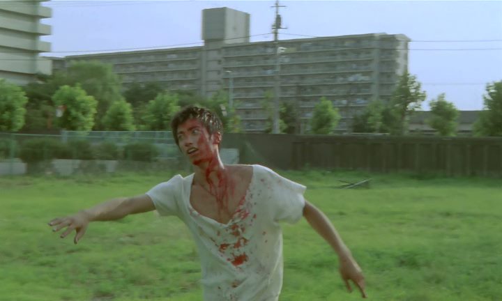 Pikunikku / Picnic (1996) Shunji Iwai, Chara, Tadanobu Asano, Koichi Hashizume, Drama, Fantasy-poster