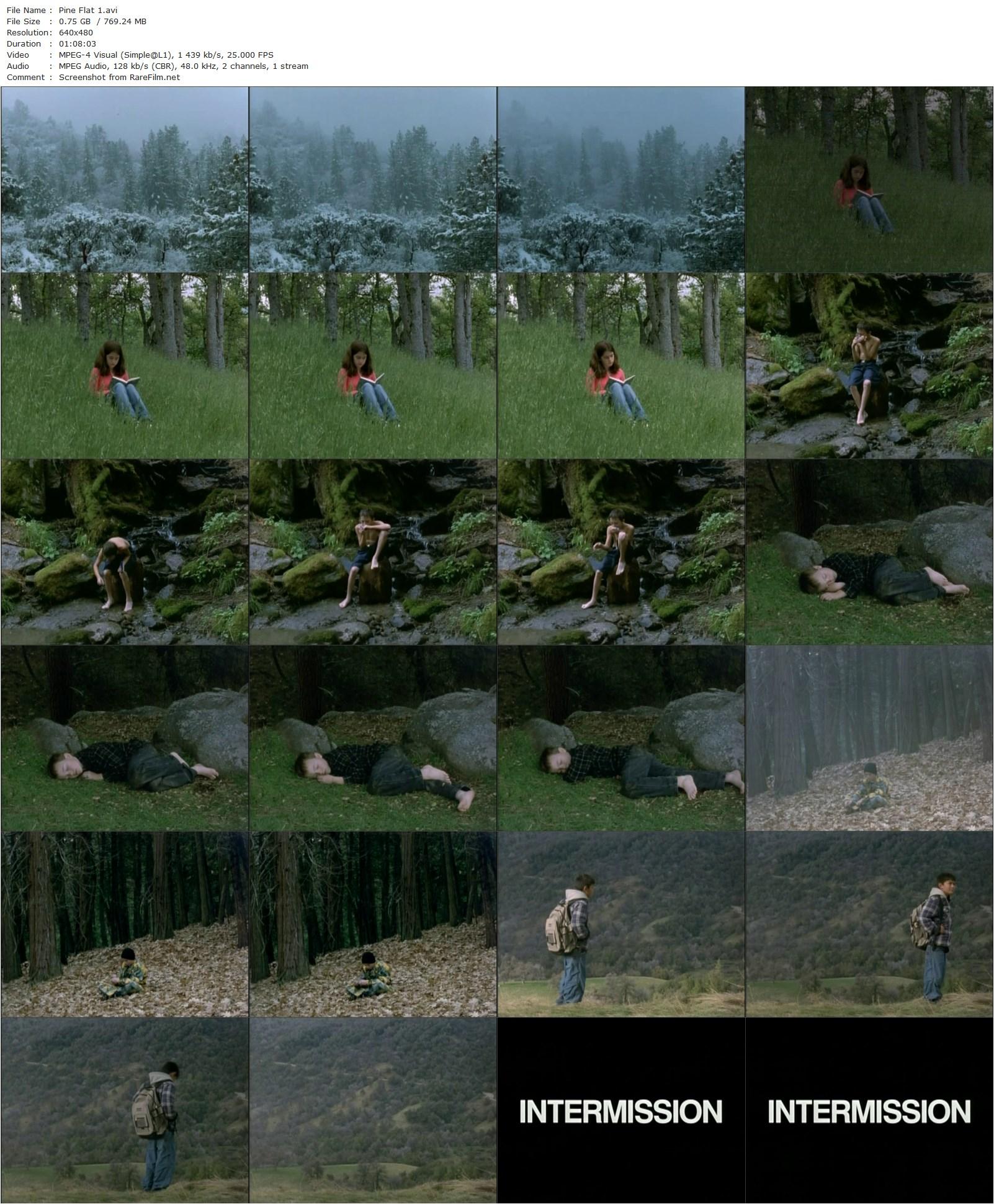 Pine Flat (2006) Sharon Lockhart, Amy Bates, Jessica Blain, Matthew Blain-poster