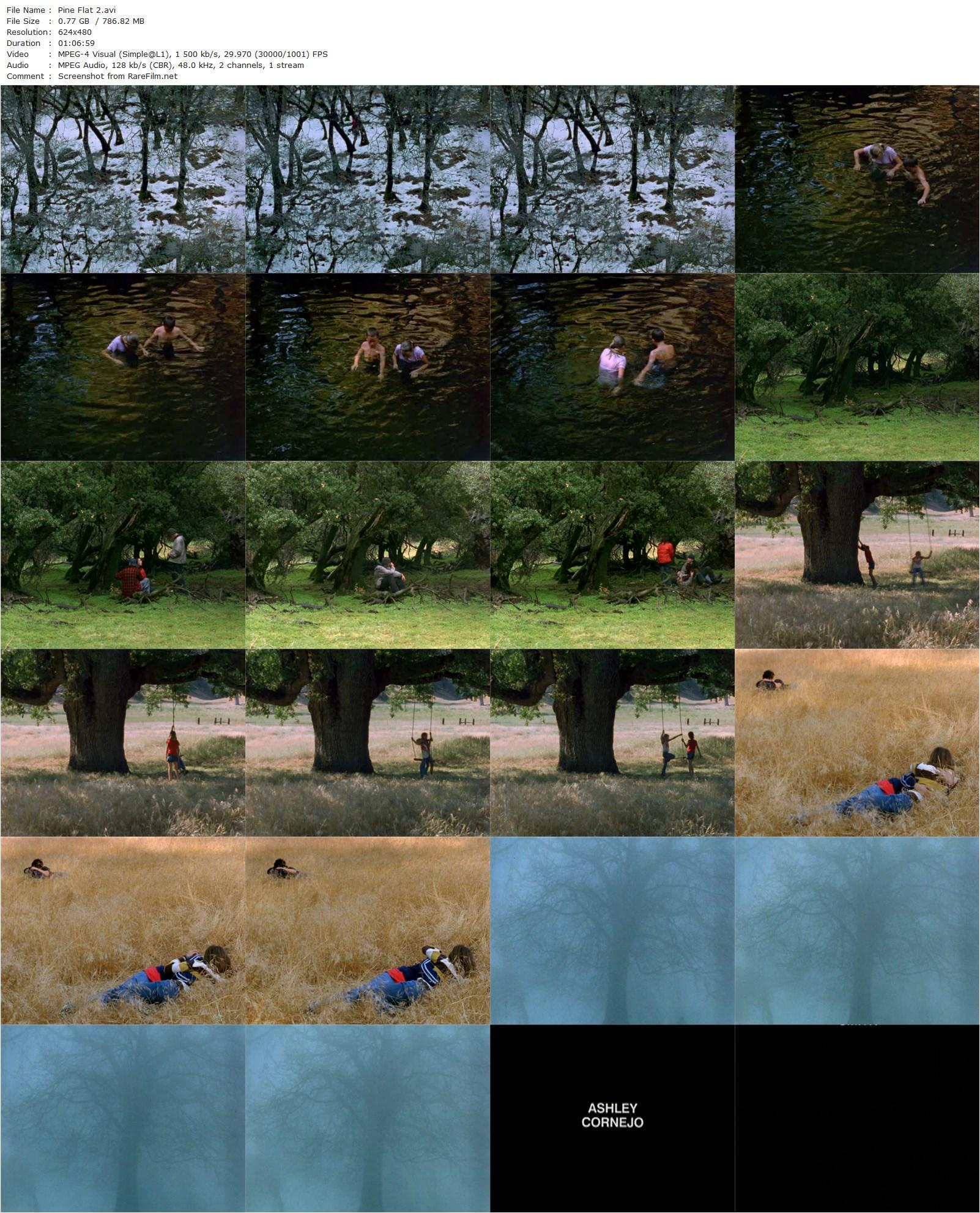 Pine Flat (2006) Sharon Lockhart, Amy Bates, Jessica Blain, Matthew Blain-poster