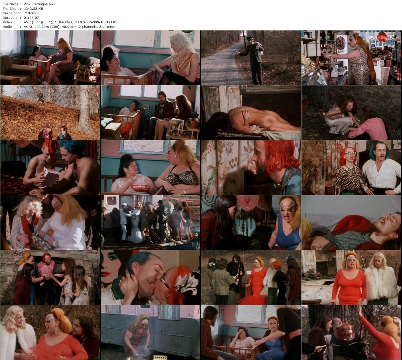 Pink Flamingos (1972) John Waters, Divine, David Lochary, Mary Vivian Pearce-poster