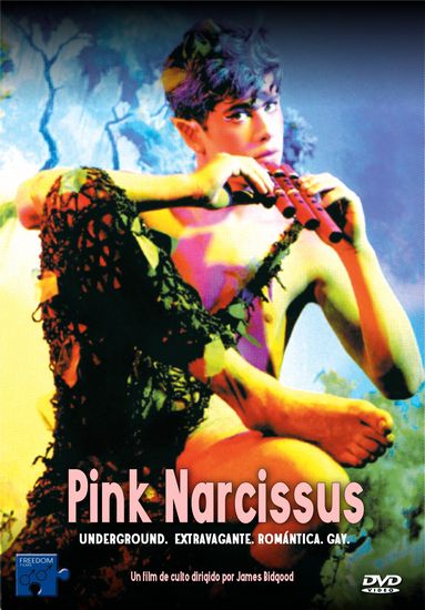 Pink Narcissus (1971) James Bidgood, Don Brooks, Bobby Kendall, Charles Ludlam