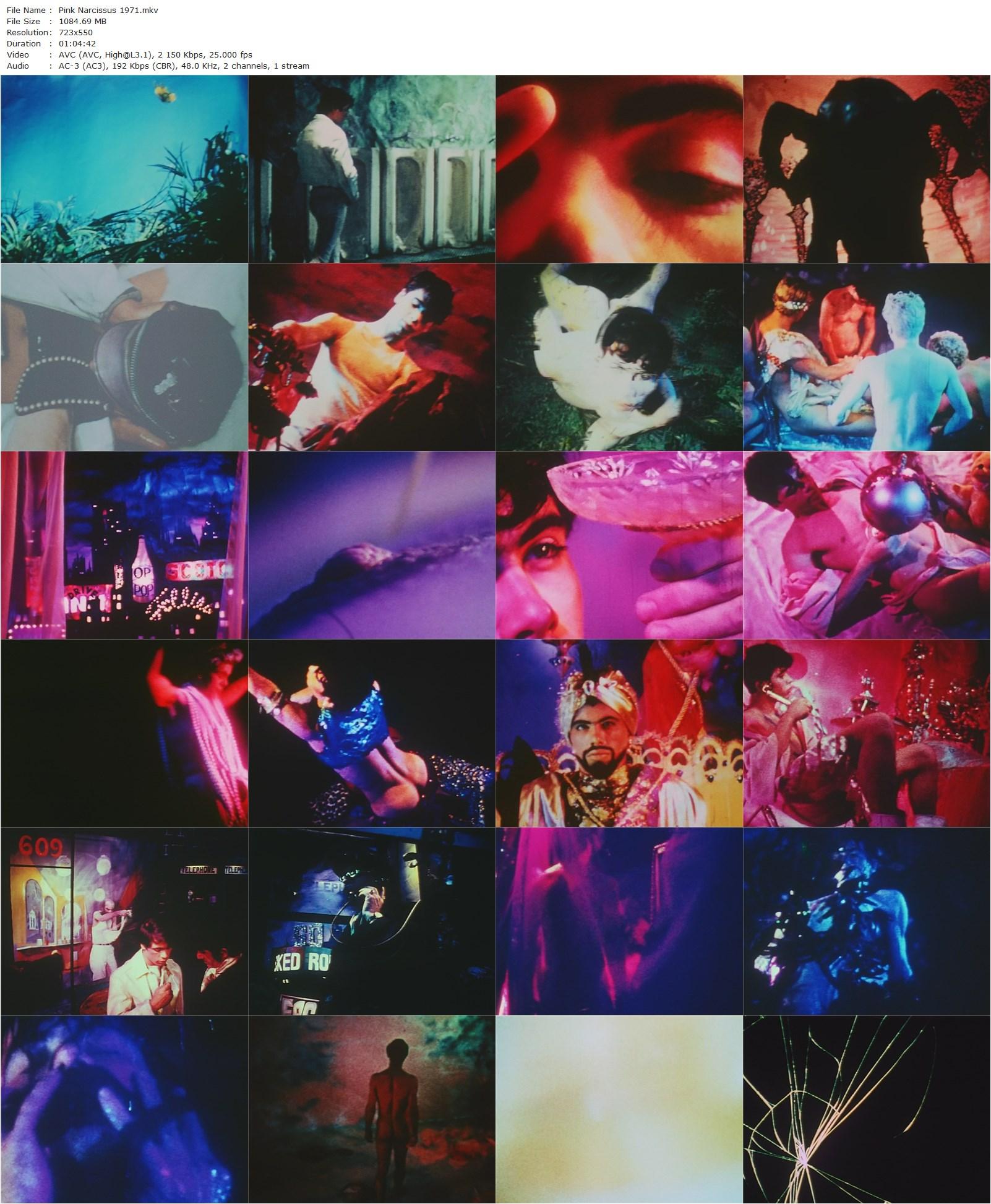 Pink Narcissus (1971) James Bidgood, Don Brooks, Bobby Kendall, Charles Ludlam-poster
