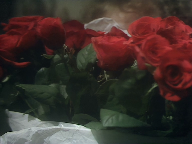 Play for Today: The Flipside of Dominick Hide (1980)-poster