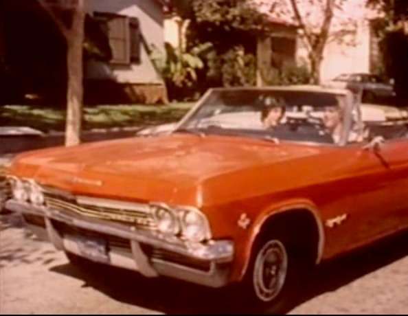 Pleasure Beach (1983) | Worldscinema | Download Free-poster