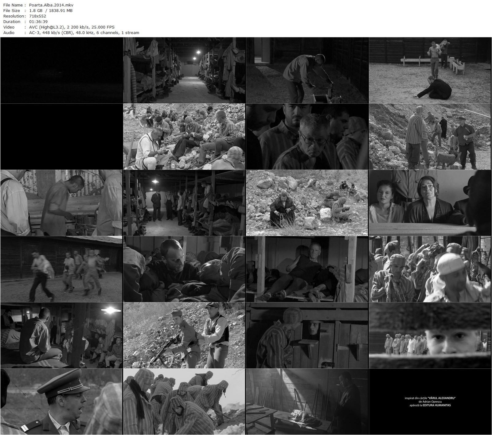 White Gate AKA Poarta Alba (2014) Nicolae Margineanu, Radu Banzaru, Cristian Bota, Sergiu Bucur-poster