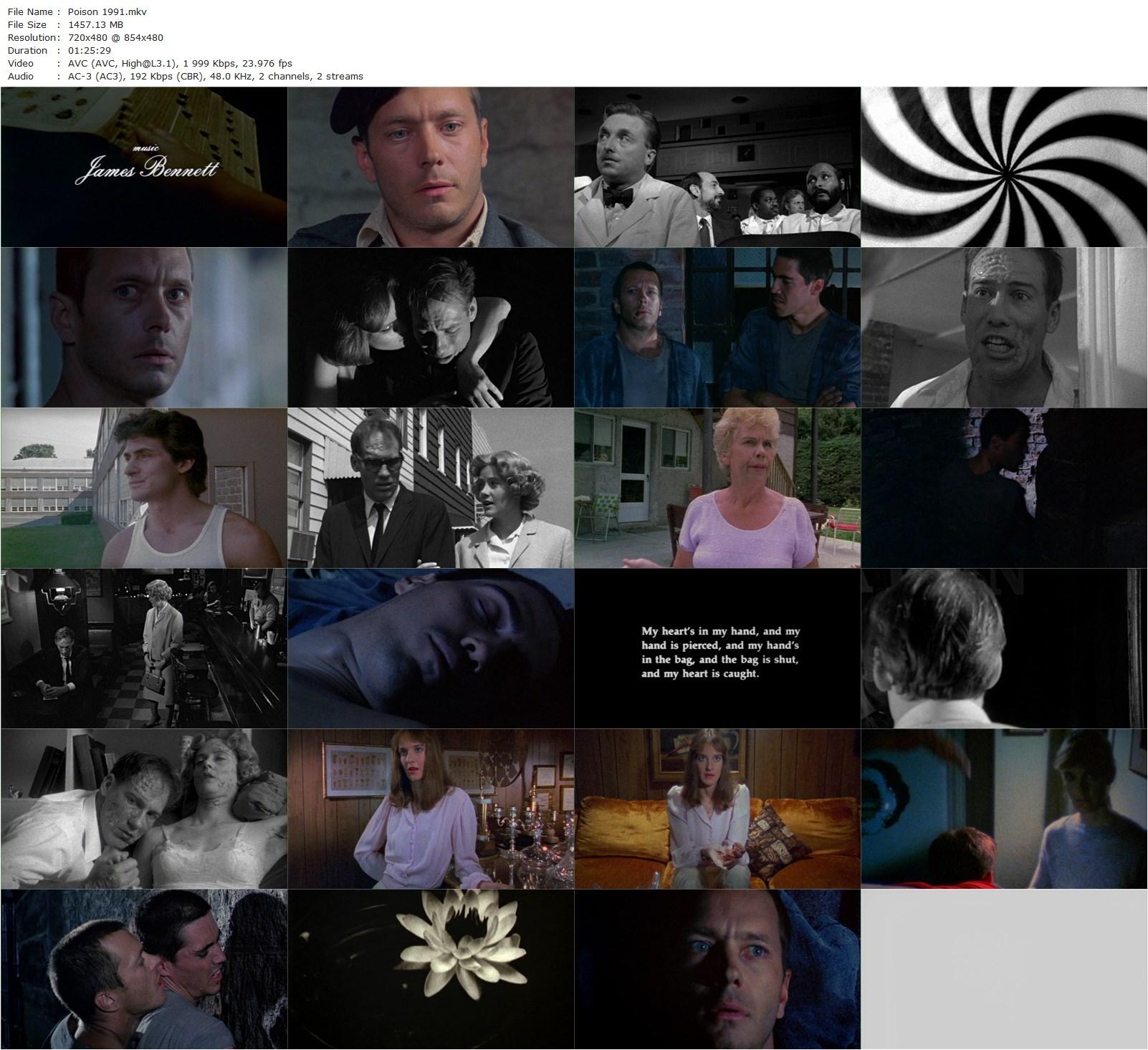 Poison (1991) Todd Haynes, Edith Meeks, Larry Maxwell, Susan Norman-poster