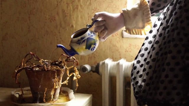 Aleksandra Niemczyk – Polka-Dot (2020)