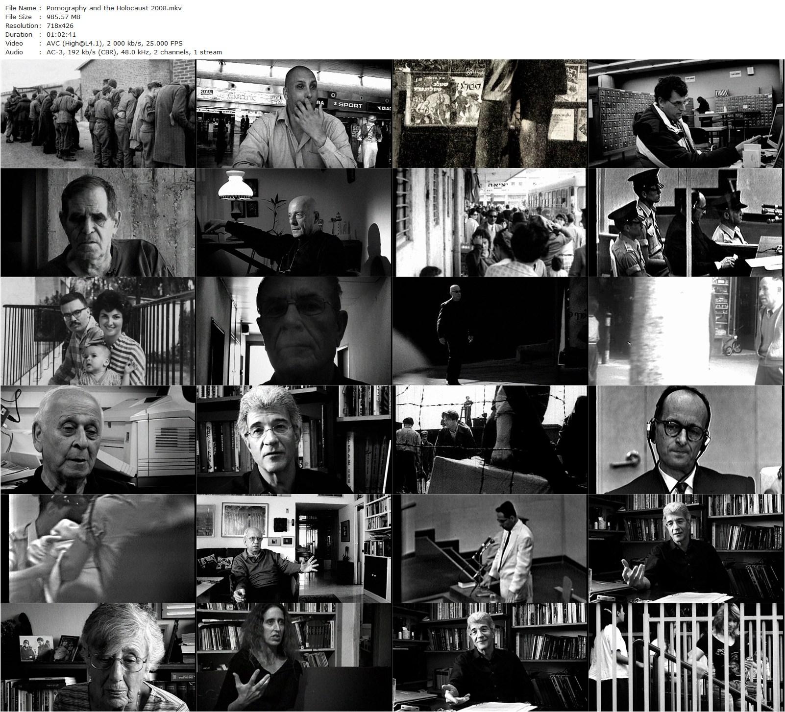 Pornography and the Holocaust AKA Stalags (2008) Ari Libsker-poster