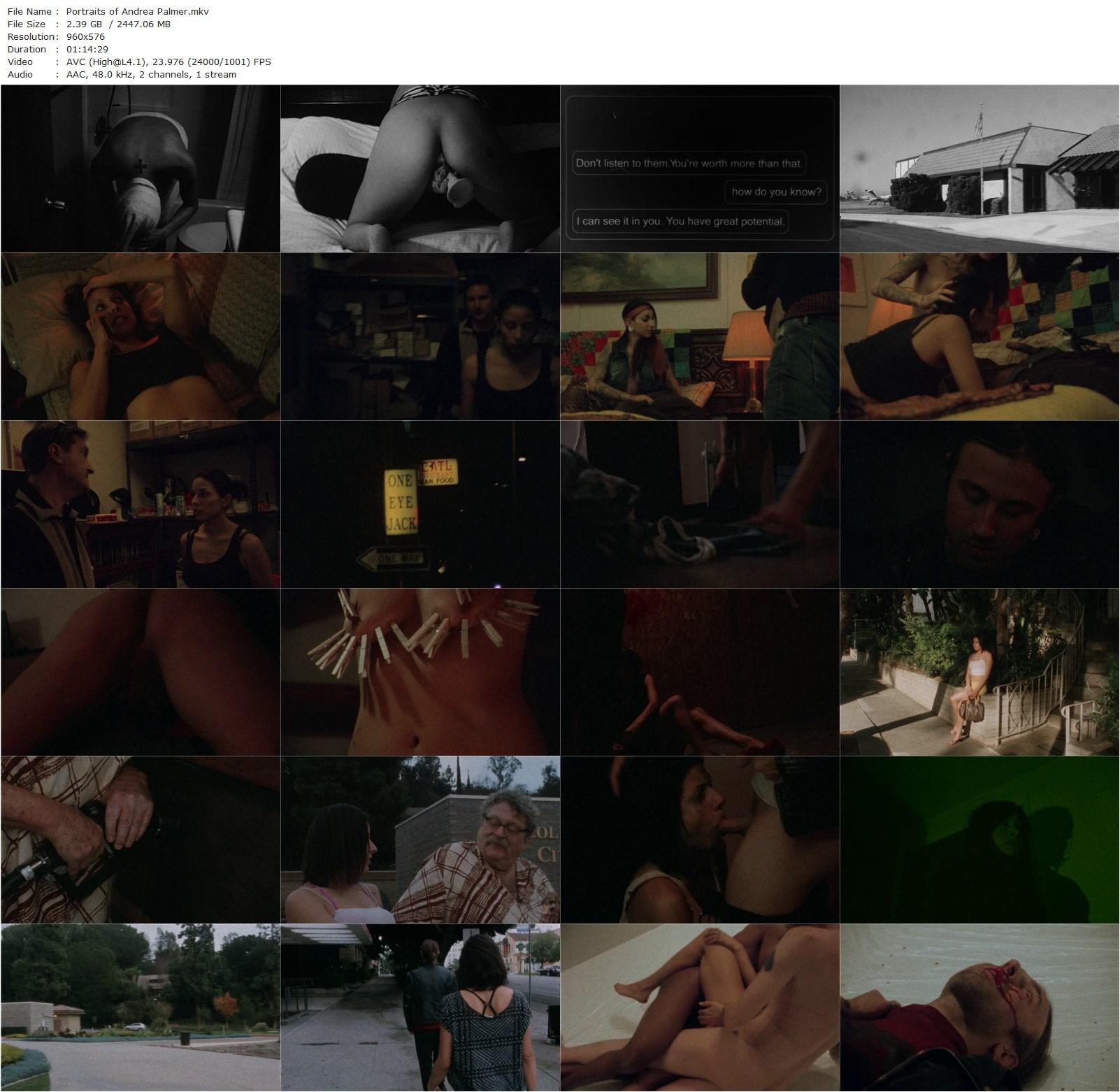 Portraits of Andrea Palmer (2018) C. Huston-poster