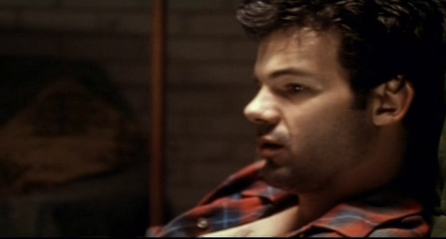 Post Cards from America (1994)-poster