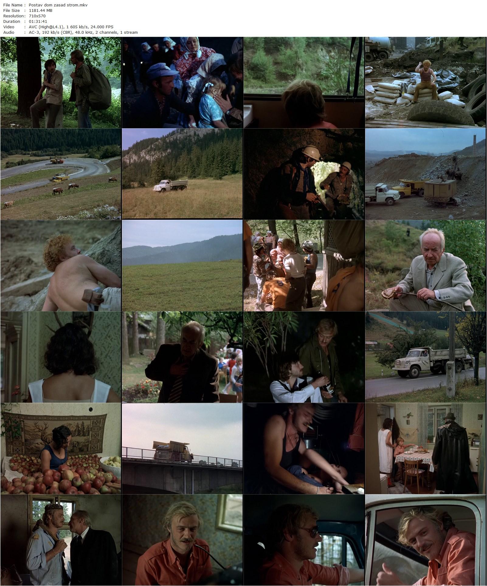 Build a House, Plant a Tree (1980) Juraj Jakubisko-poster