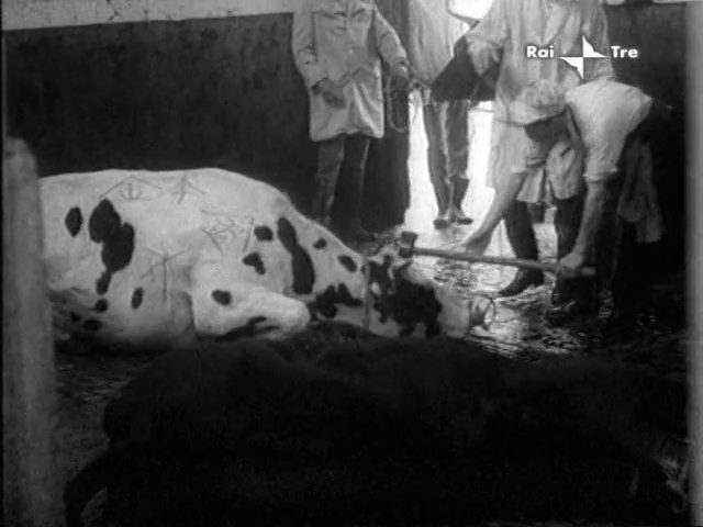 Postwar History of Japan as Told by a Bar Hostess (1970) Shôhei Imamura, Chieko Akaza, Etsuko Akaza, Tami Akaza, Documentary-poster