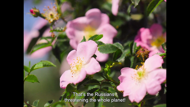 Potemkinistii (2022)-poster