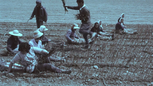 Pour le Mistral (1966) directed by Joris Ivens-poster