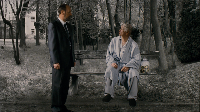 Jan Svankmajer - Prezít svuj zivot (teorie a praxe) AKA Surviving Life (Theory and Practice) (2010)-poster