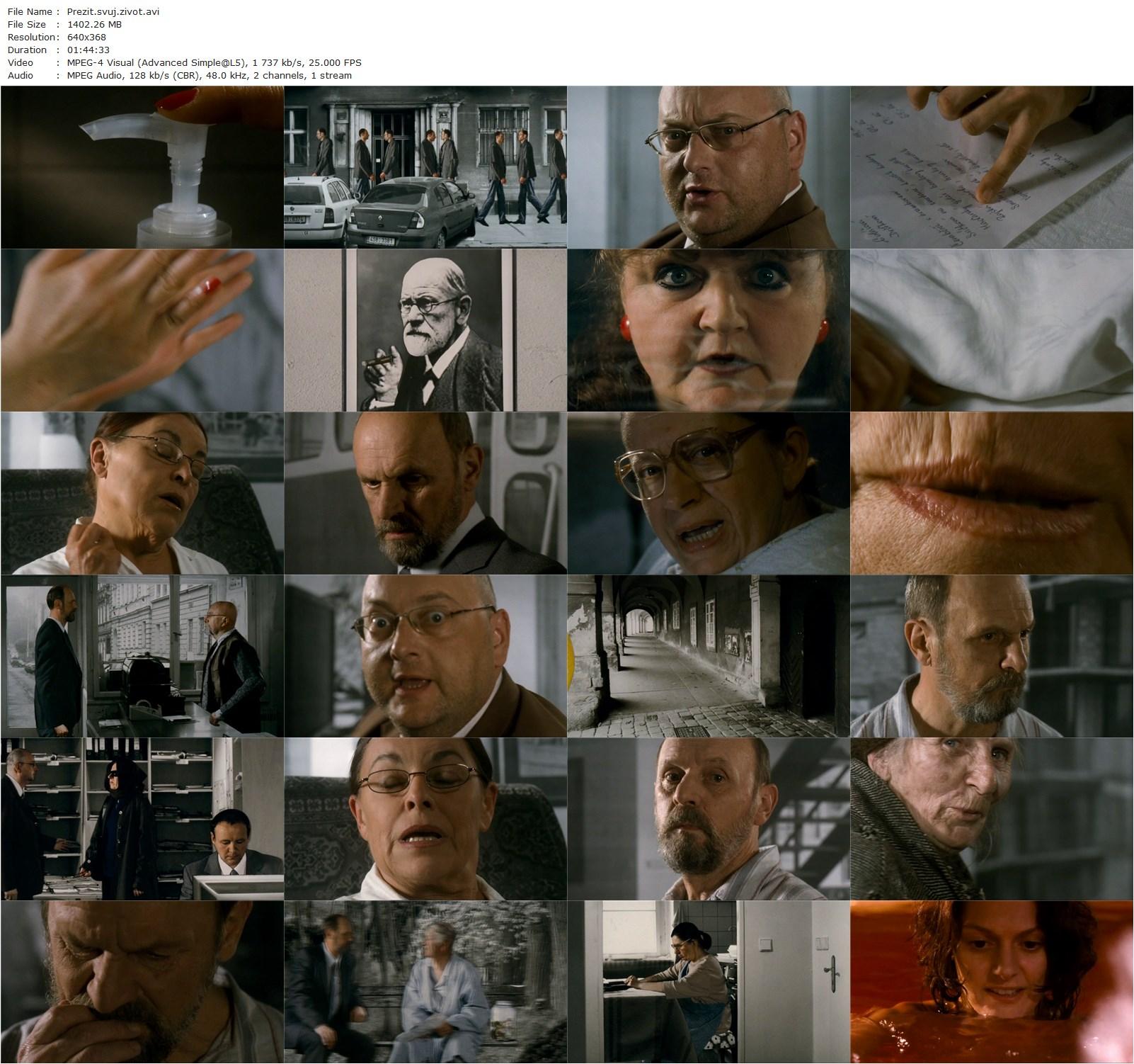 Surviving Life (Theory and Practice) AKA Prezít svuj zivot (teorie a praxe) (2010) Jan Svankmajer, Václav Helsus, Klára Issová, Zuzana Krónerová-poster