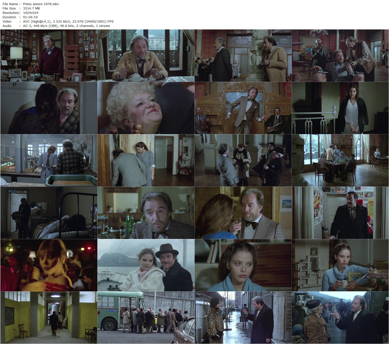 First Love AKA Primo amore (1978) Dino Risi, Ugo Tognazzi, Ornella Muti, Mario Del Monaco-poster