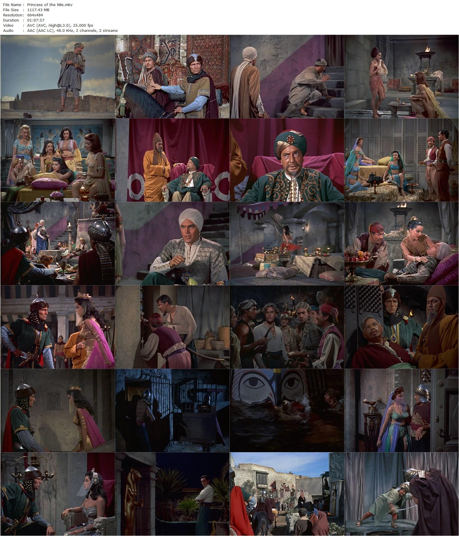 Princess of the Nile (1954) Harmon Jones, Debra Paget, Jeffrey Hunter, Michael Rennie-poster