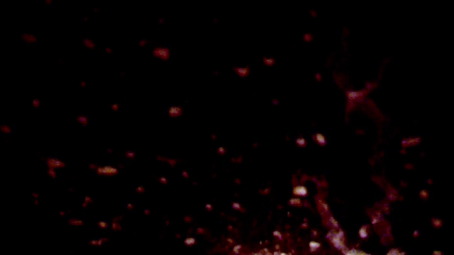 Usama Alshaibi - Profane (2011)-poster