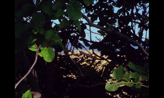 Profit Motive and the Whispering Wind (2007)-poster