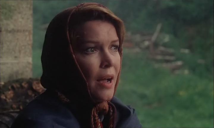 Providence (1977) Alain Resnais, Dirk Bogarde, Ellen Burstyn, John Gielgud-poster