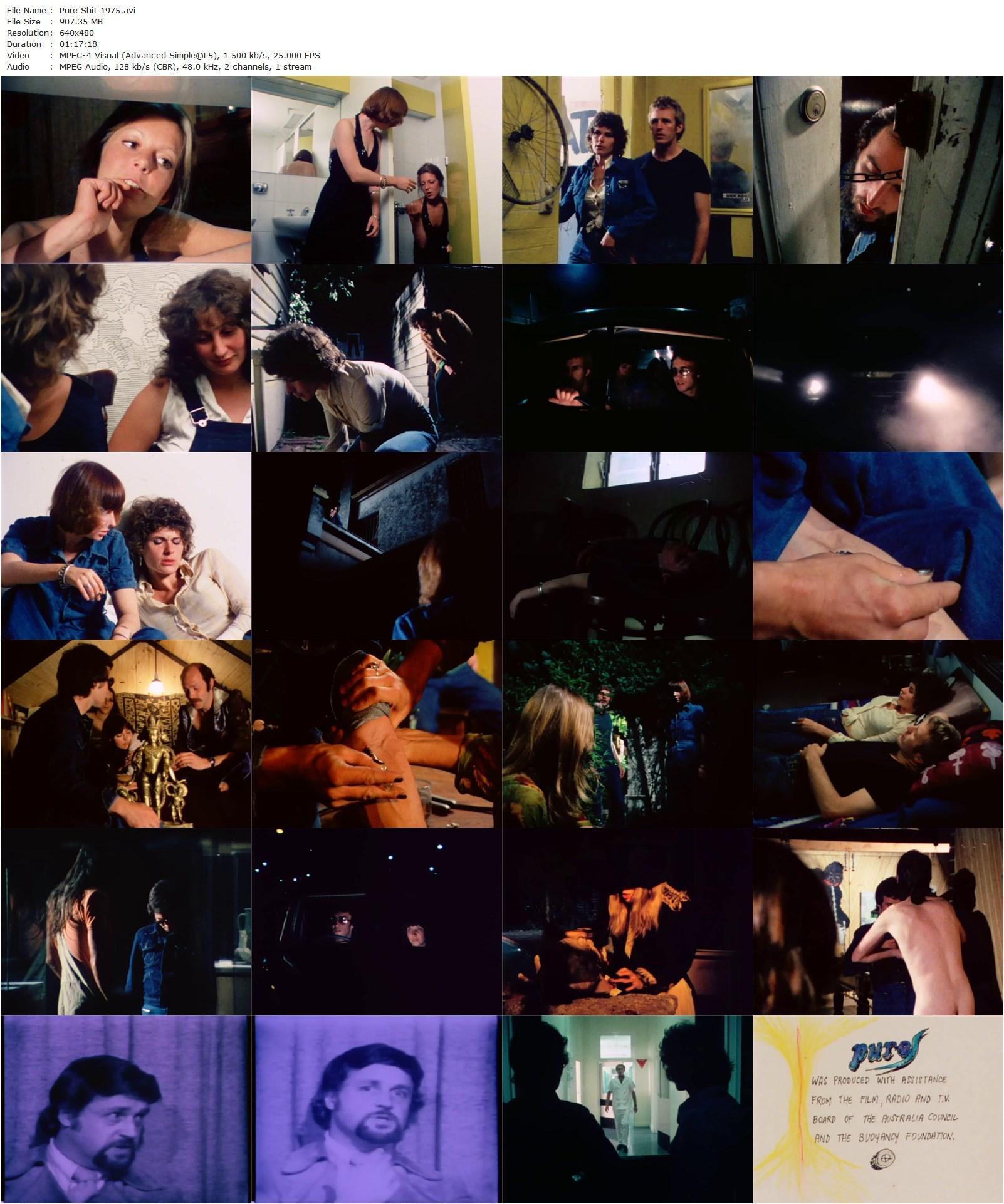 Pure Shit AKA Pure S (1975) Bert Deling, Sally McNee, Doc Smith, Russell Kirby-poster