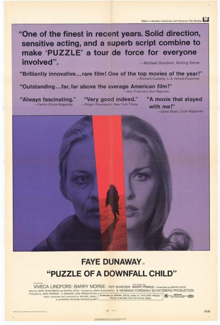 Puzzle of a Downfall Child (1970) Jerry Schatzberg, Faye Dunaway, Barry Primus, Viveca Lindfors