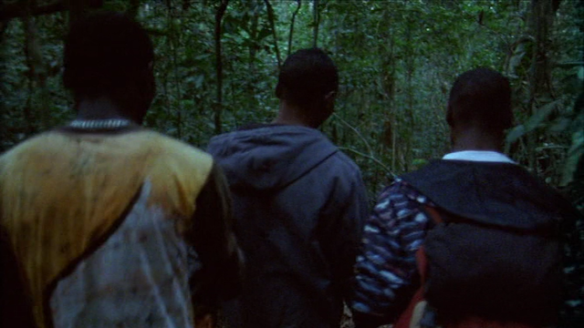 Que je tombe tout le temps? (2013)