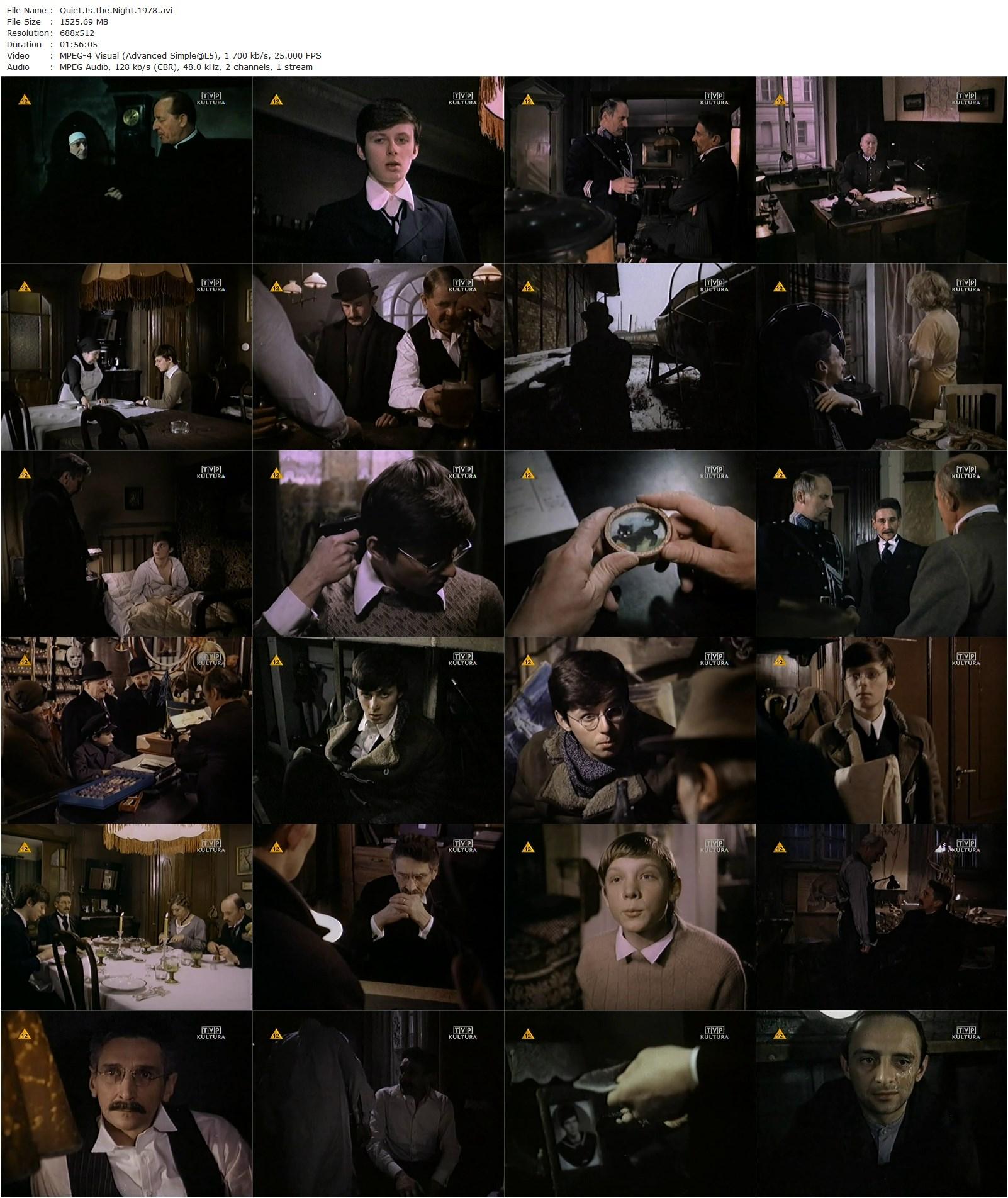 Quiet Is the Night AKA Wsród nocnej ciszy (1978) Tadeusz Chmielewski, Antonina Barczewska, Henryk Bista, Jerzy Bonczak-poster