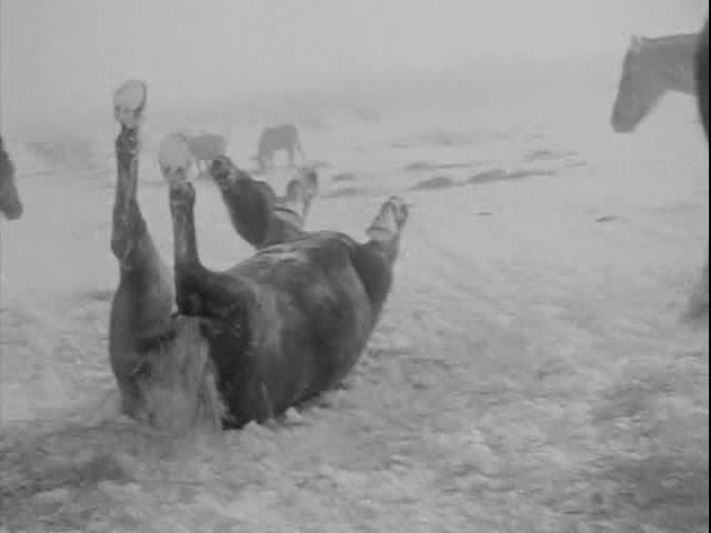 Quixote (1965)-poster