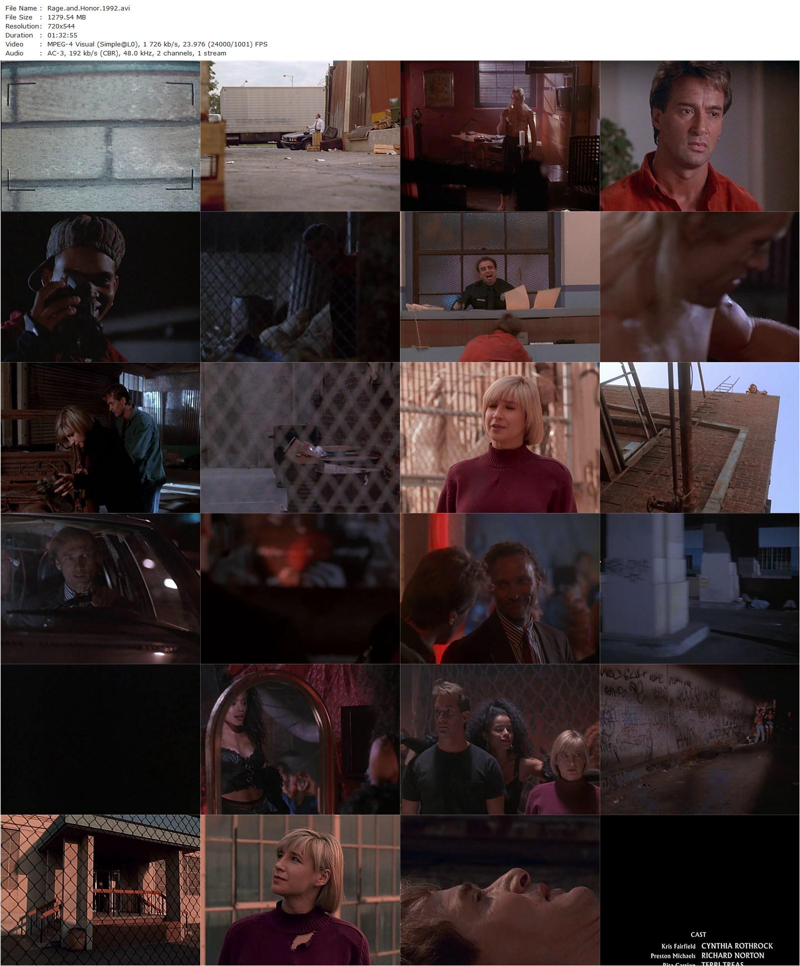 Rage and Honor (1992) Terence H. Winkless, Cynthia Rothrock, Richard Norton, Terri Treas-poster