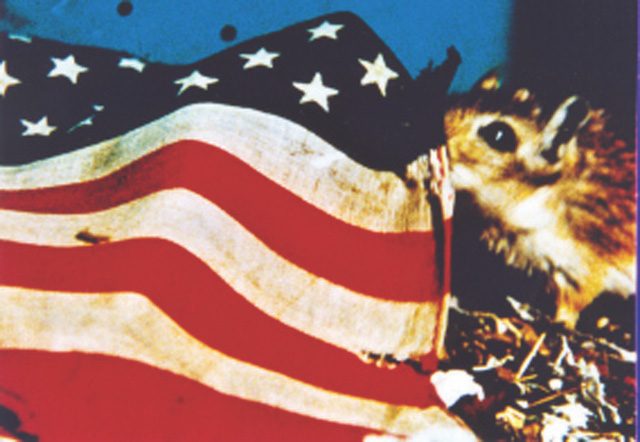 Rat Life and Diet in North America (1968) | Worldscinema | Download Free