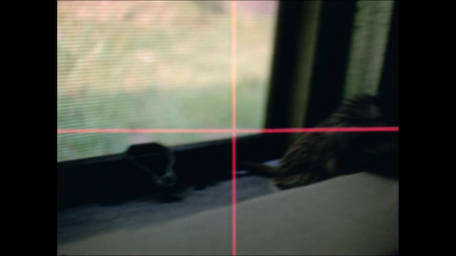 Rat Life and Diet in North America (1968) | Worldscinema | Download Free-poster