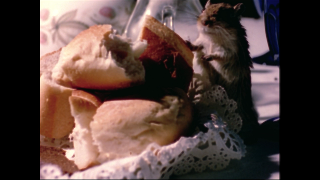 Rat Life and Diet in North America (1968) | Worldscinema | Download Free-poster