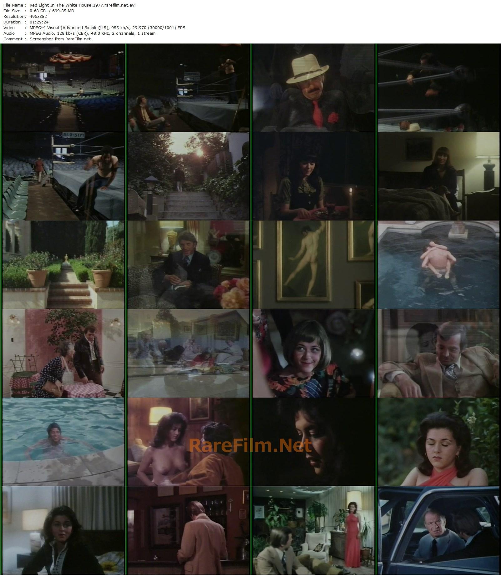 Red Light in the White House (1977) Paul Leder, Karin Collison, Frank Whiteman, Clayton Wilcox-poster