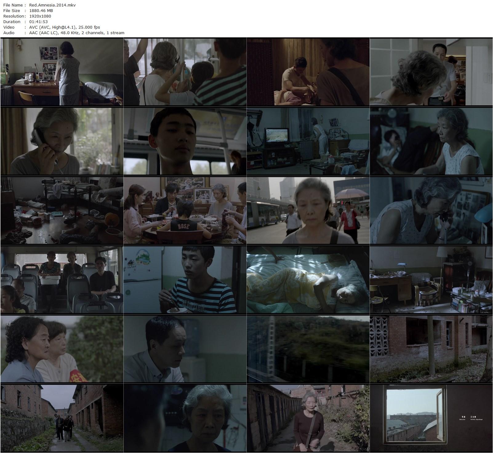 Red Amnesia (2014) Xiaoshuai Wang, Zhong Lü, Yuanzheng Feng, Hailu Qin-poster