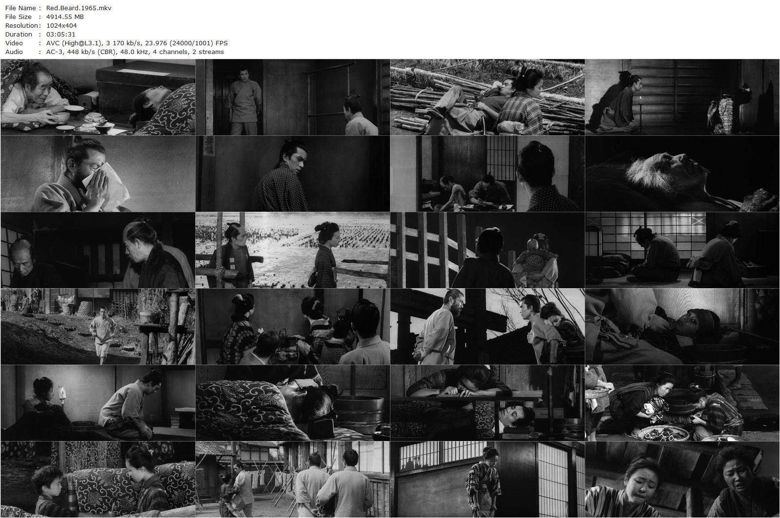 Red Beard AKA Akahige (1965) Akira Kurosawa, Toshirô Mifune, Yûzô Kayama, Tsutomu Yamazaki-poster