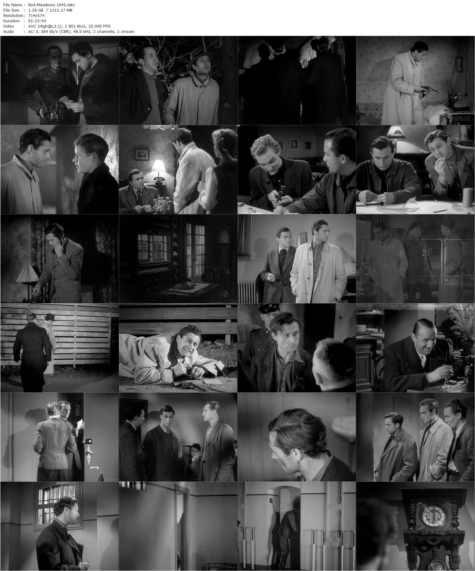 Red Meadows AKA De røde enge (1945) Bodil Ipsen, Lau Lauritzen, Poul Reichhardt, Lisbeth Movin, Per Buckhøj-poster