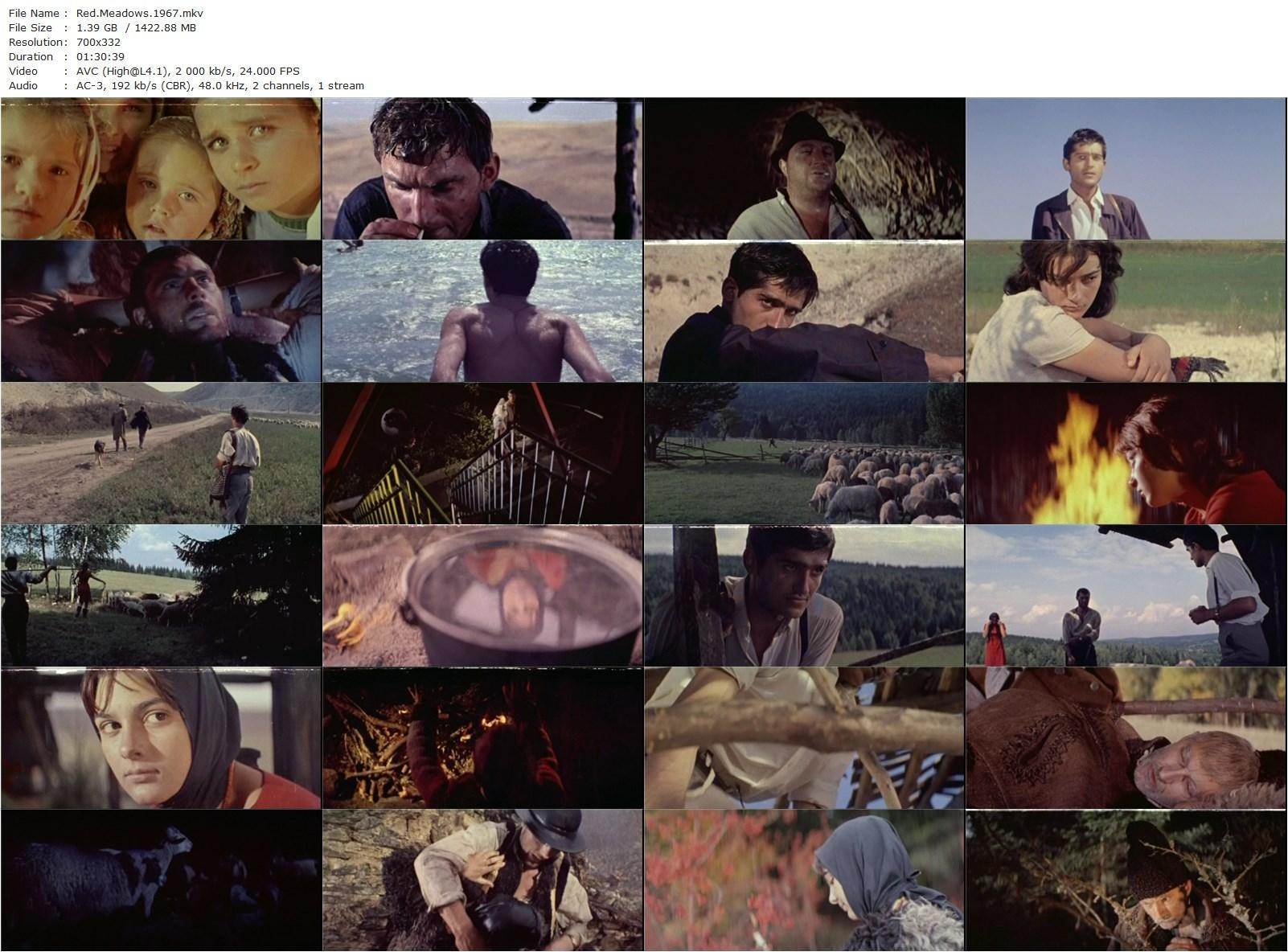 Red Meadows AKA Krasnye polyany (1966) Emil Loteanu, Victor Sotchi-Voinicescu, Viktor Chutak, Grigore Grigoriu-poster