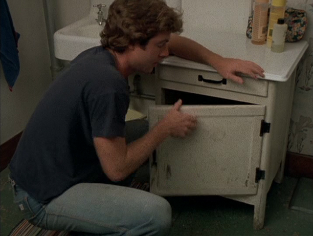 John Sayles - Return of the Secaucus Seven (1979)-poster