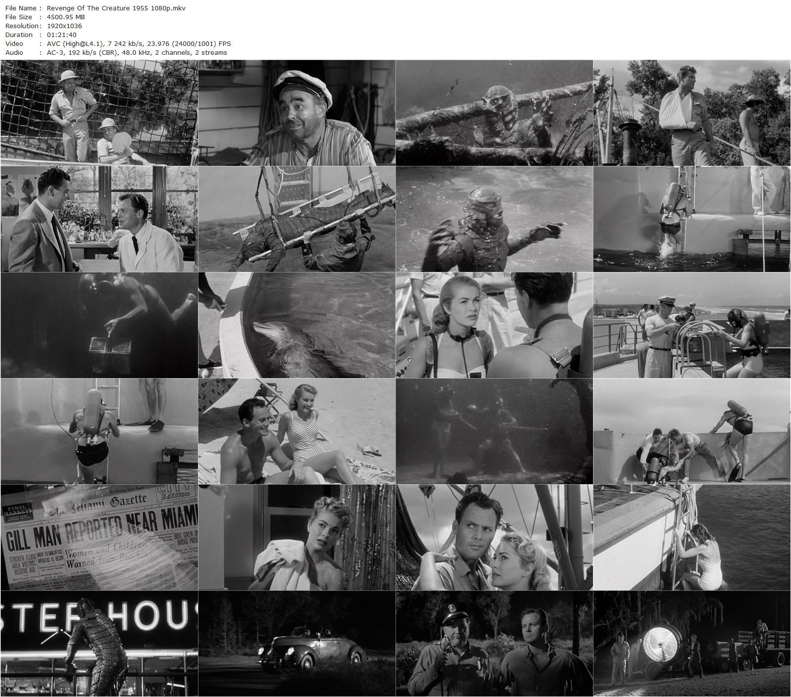 Revenge of the Creature (1955) Jack Arnold, John Agar, Lori Nelson, John Bromfield-poster