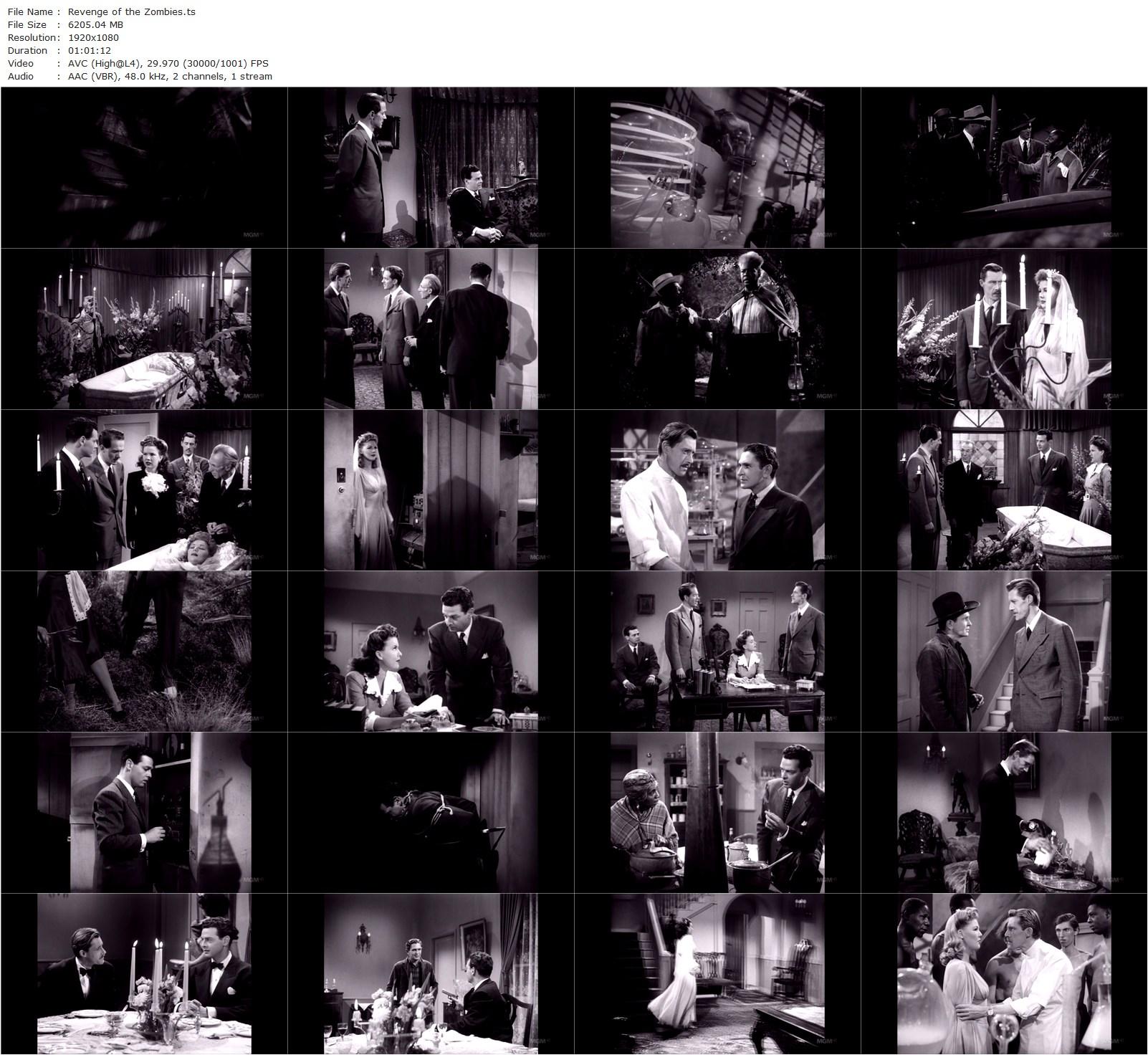 Revenge of the Zombies (1943) Steve Sekely, John Carradine, Gale Storm, Robert Lowery-poster